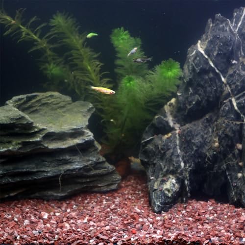 Red Coarse Sand for Plants (X-Mini (0.125 Inch) / COARSE SAND - RED)
