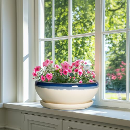 Bonsai Tree Pots (12 Inch / Blue-beige)