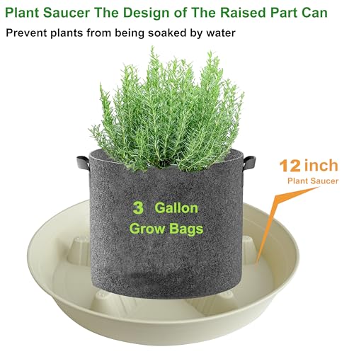 4 Pack Plant Saucer 12 inch (12"-4 Pack / Light_Green)