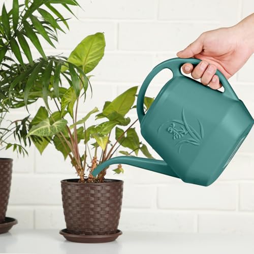 Plastic Watering Can (Green)