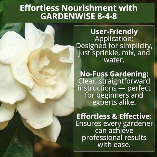 8-4-8 Acidic Fertilizer for Azaleas, Camellias (Camelia), Hydrangeas, Blueberries, Gardenias, Magnolia Trees, Evergreens, and Rhododendrons - Ideal Iron-Rich Plant Food (12 OZ) (12 Ounce)