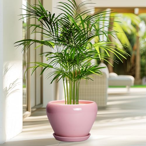 Ceramic Modern Glaze Succulent Planter Pot with Drainage Hole and Saucer 8 Inch Round Flower Plant Pot for Indoor Outdoor Herb Snake Plants (8 Inch / Pink)