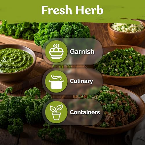 700 Moss Curled Parsley Heirloom Herb Seeds