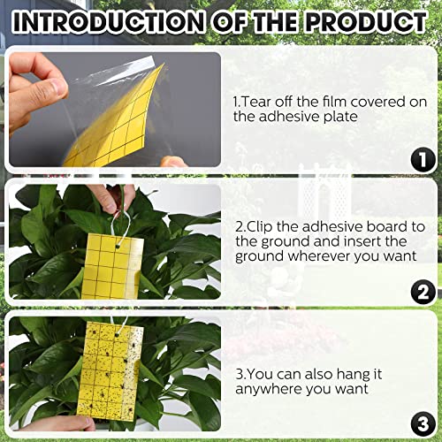 50 Pcs Yellow Sticky Trap for Gnats 3 x 5'' Dual Side (3'' X 5'' / Yellow)