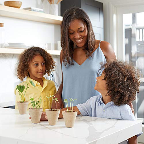 Kids Science Grow Kit (Bean and Watermelon Kit)