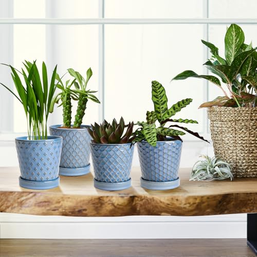 Plant Pots 5 Inch Pots for Indoor Plants (4 Count)
