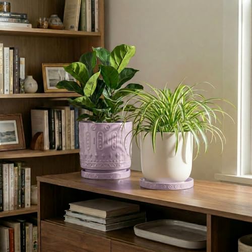 Ceramic Plant Saucer 5.6 Inch (5.6 Inch (2 Pack) / Purple)