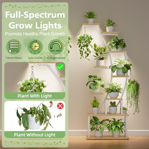 2 Pack Plant Stand Indoor with Grow Lights