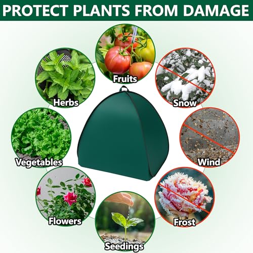 2 Pcs Pop Up Shrub Covers Frost Protection Tent (36 x 36 x 38 inch)