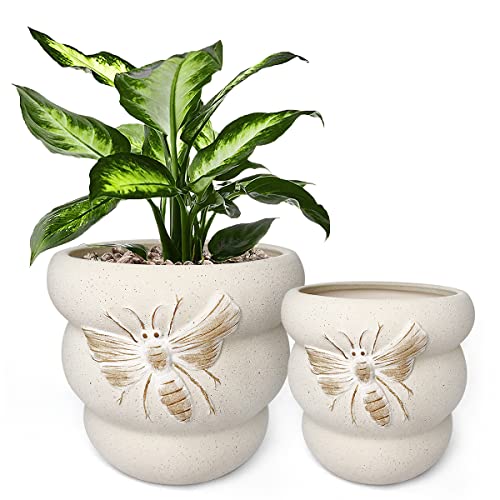 Ceramic Plant Pots (8+6 Inch / Terrabee Beige)