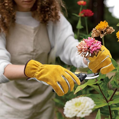 Leather Gardening & Work Gloves (Gold/Light Cyan(24 Pair) / Medium)