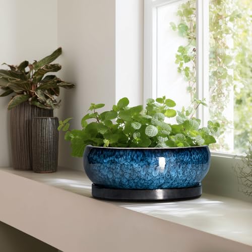 Bonsai Pots 13 Inch Ceramic Succulent Pots for Indoor Outdoor (13 Inch / Blue)