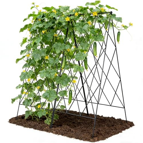 Cucumber Trellis 2 Pack (Pitch Black / 39.4" H)