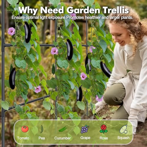 Cucumber Trellis for Garden Vegetable Trellis (47.24inch Arch)