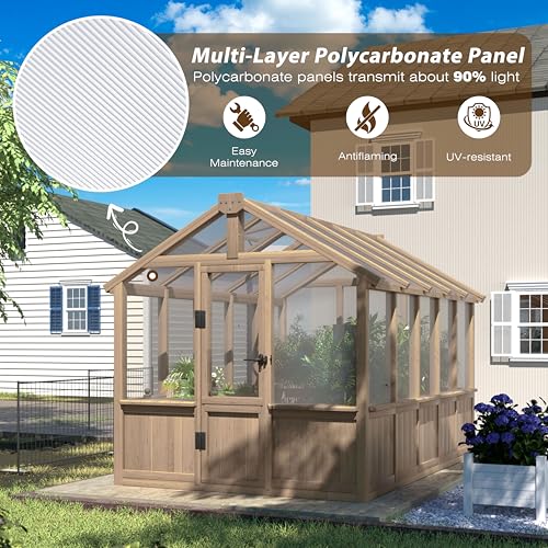 6x10FT Greenhouse