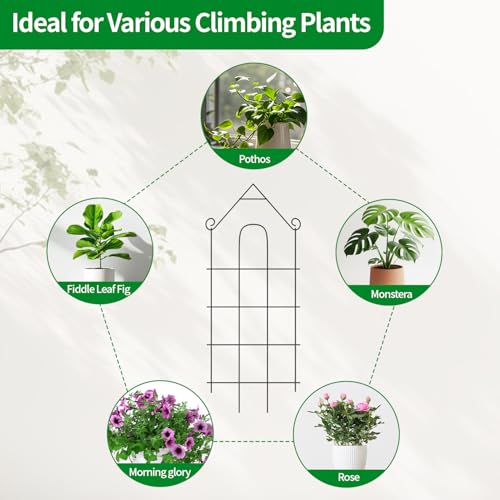 24" Plant Trellis (6Pack-24 inch house shape)