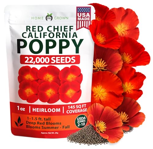 Red Chief Poppy 22
