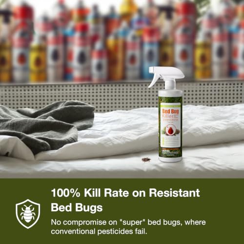by EcoRaider Bed Bug Killer Spray 1 Gallon Jug (128 Fl Oz (Pack of 1))