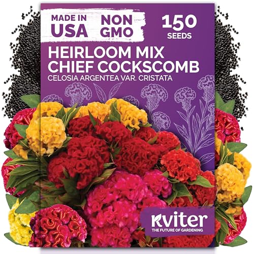 150 Chief Mix Cockscomb Heirloom Flower Seeds