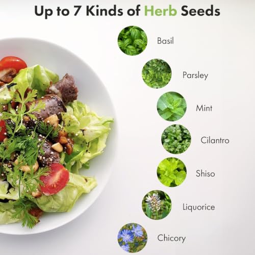 Herb Seed Pods Kit for AeroGarden (Herb / 7pods)
