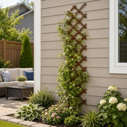 Expandable Wooden Lattice Panels Outdoor Garden Fence Trellis for Climbing Plants Roses Vines Cucumbers Weather Resistant Decorative Wood Privacy Fence (Brown-2PC / 13''x 68'')