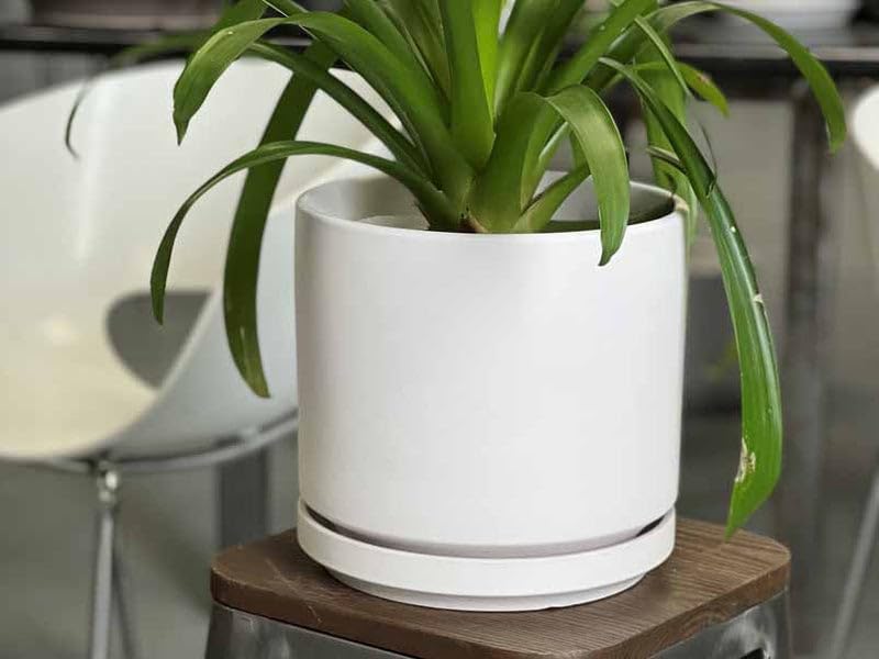 Ceramic 10 Inch Mid Modern Planter Pot with Drainage Hole and Saucer