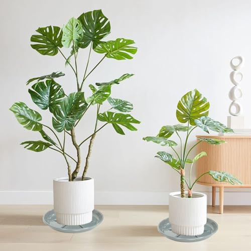 6 Pack of Plant Saucer 6 inch (6in*6 / Gray)