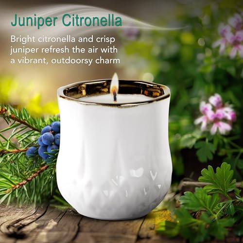 The Growing Candle (Astrid)