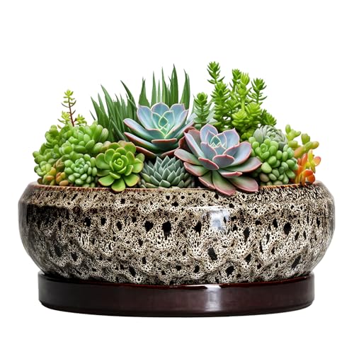 Succulent Pots 10 Inch (10 Inch / Leopard Brown-white)