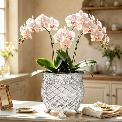 Vintage Cast Iron Urn Planter with Non (Antique White - U Shaped)