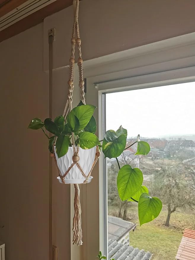 5 Inch Planter Pots (White / 5inch)