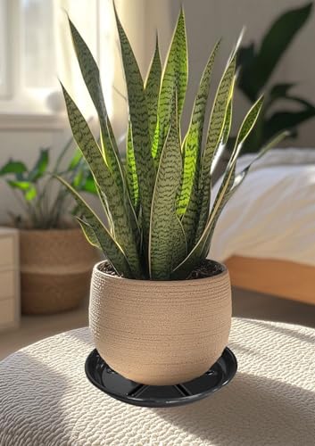 2 Pack of 12 inch Plant Saucer (12in*2 / Black)