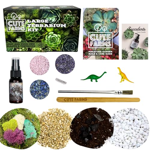 Terrarium Starter Kit (Large Kit + Crystals)