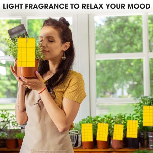 150 Pcs Yellow Sticky Trap for Gnats 6 x 8'' Dual Side (6'' X 8'' / Yellow)
