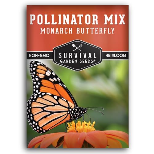 Butterfly and Bee Flower Seeds for Planting