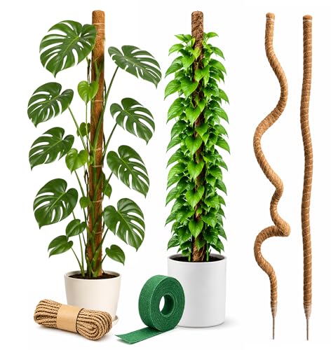 Moss Pole Monstera Plant Support (2-Pack (64 in))