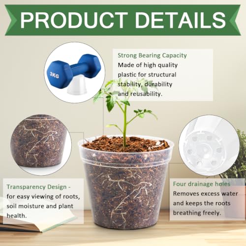 2.5" Clear Seeding Pots 100 (100 Count)
