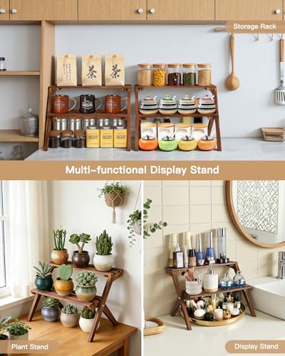 2 Tier Desktop Plant Stand