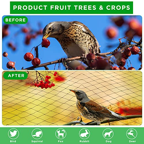 1 Pcs Bird Netting 50' X 50' (50' X 50')
