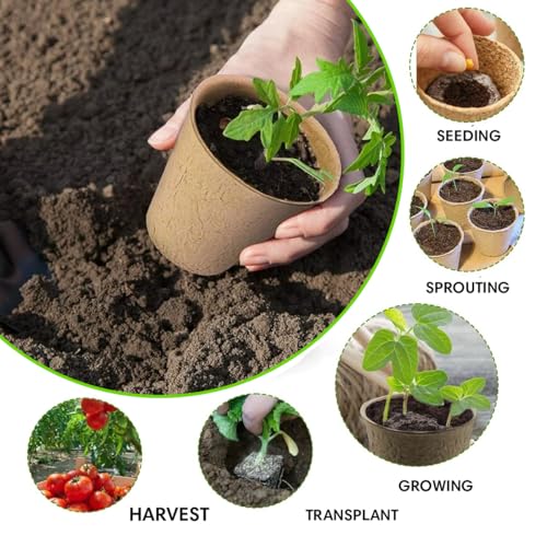 Seed Starter Kit