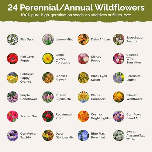 Tennessee Wildflower Mixed Seeds for Planting