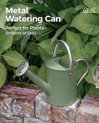 Metal Watering Can for Indoor Outdoor Plant 1 (Creamy Green)