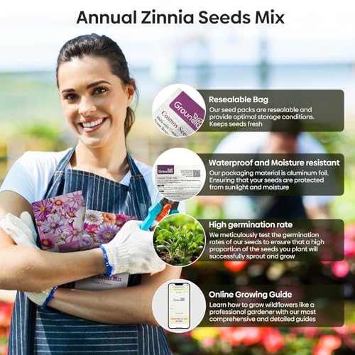 Zinnia Seeds Mix for 2026
