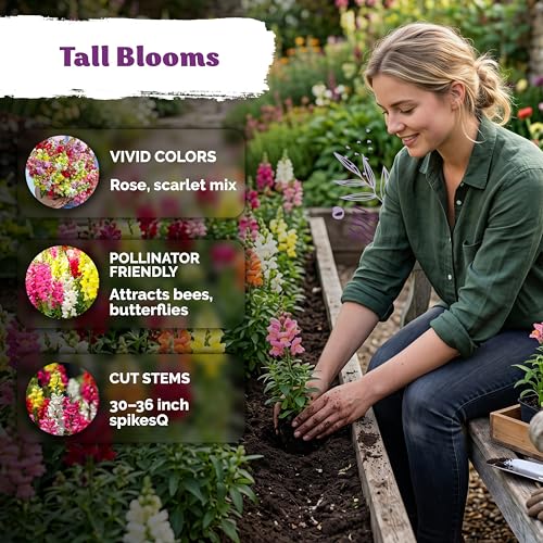 2 500 Maximum Mix Snapdragon Heirloom Flower Seeds