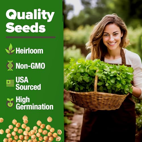 Cilantro Coriander Seeds (500 Count)