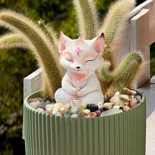 10 lbs Small Succulent Rocks
