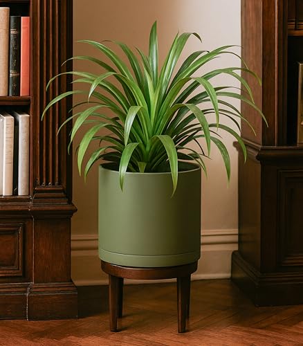 Plastic Planter Pot with Saucer (8 Inch / Olive)