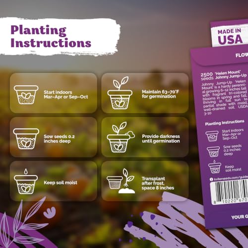 2 500 Johnny Jump Heirloom Flower Seeds for Planting