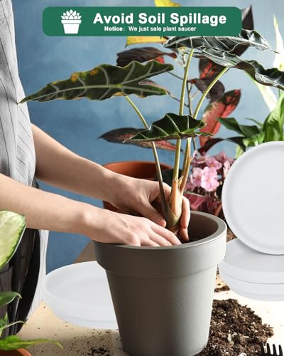 8 Inch White Terracotta Plant Saucer Pots Tray