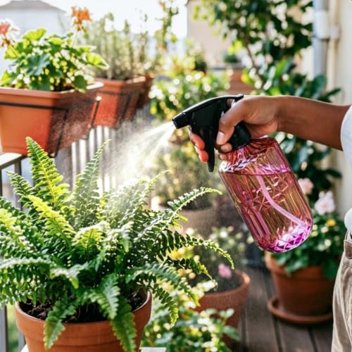 Glass Plant Mister 13.5 oz Fine Mist Plant Spray Bottle Amaranth (C-Red)